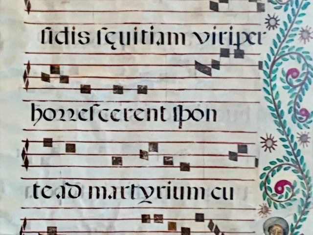 The Beauty of Music