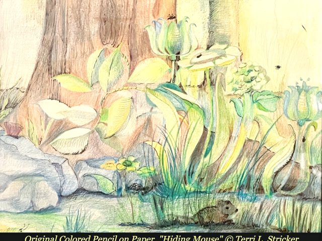 (Day # 30) – More than Just Fair
