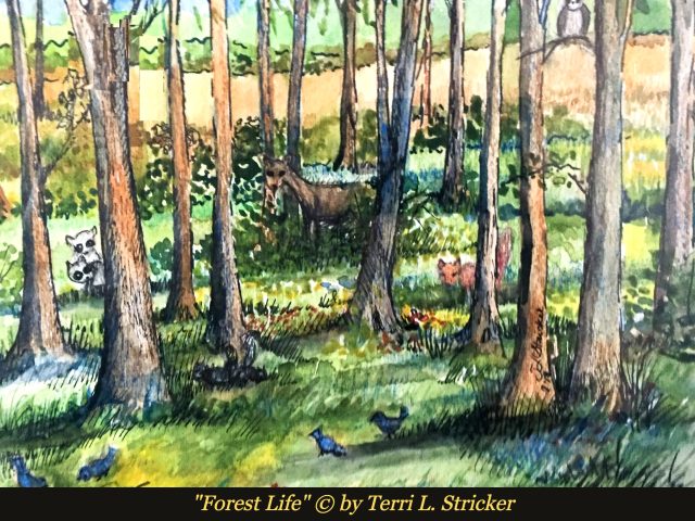 Day #129 – The Giver of Life