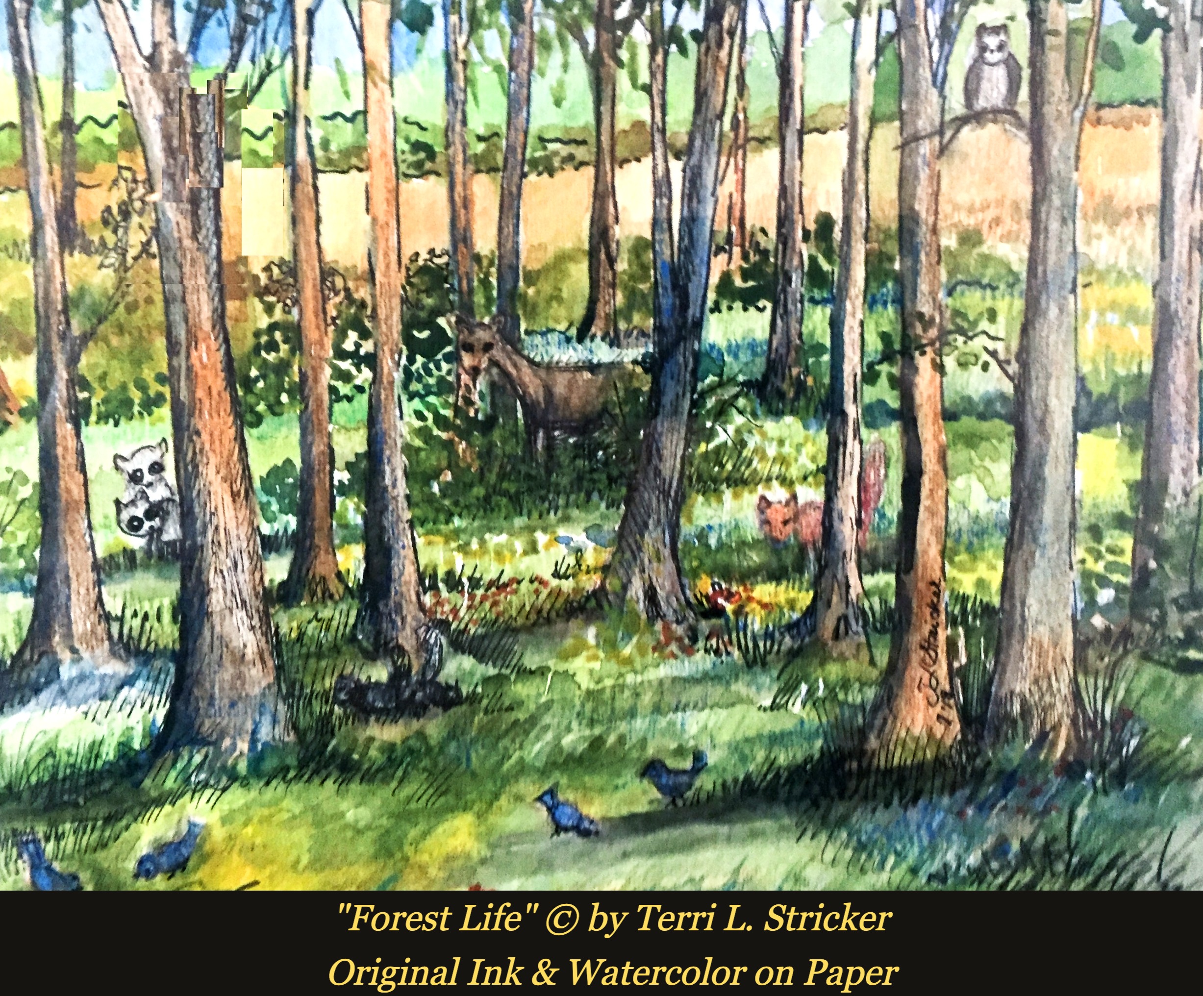 Day #129 – The Giver of Life