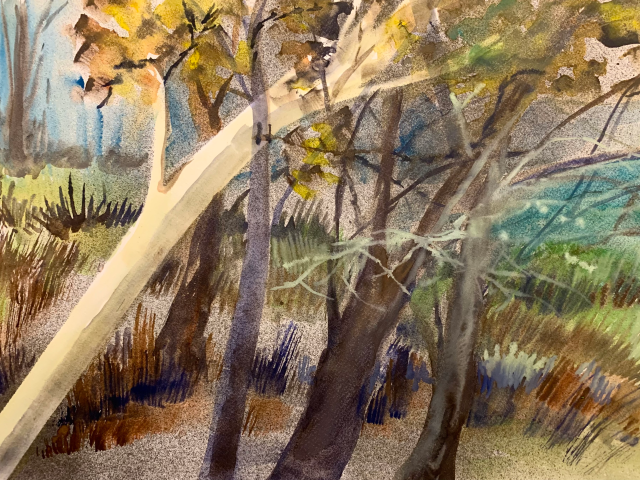 Day 209 – Rejoicing All Day Long