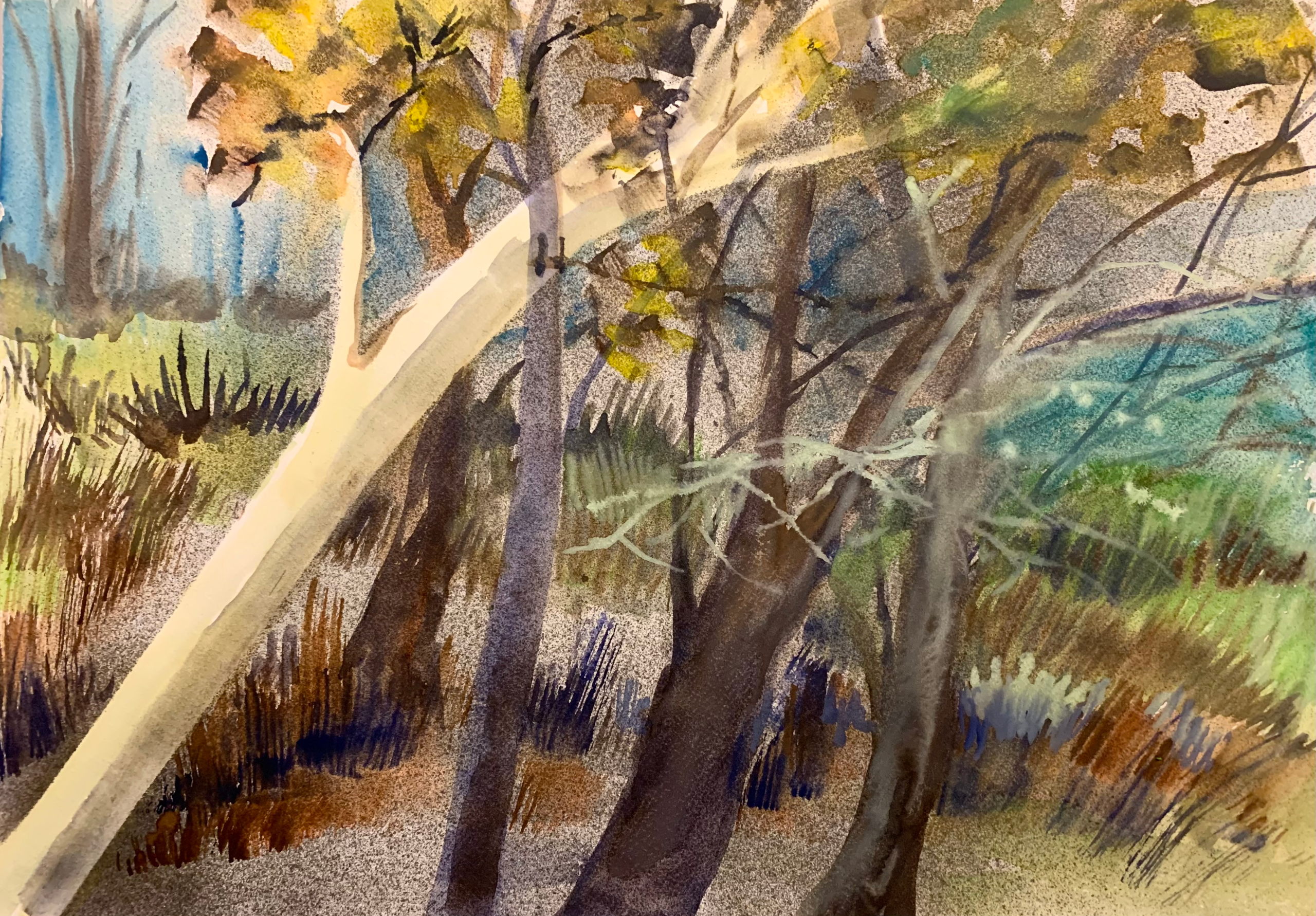 Day 209 – Rejoicing All Day Long