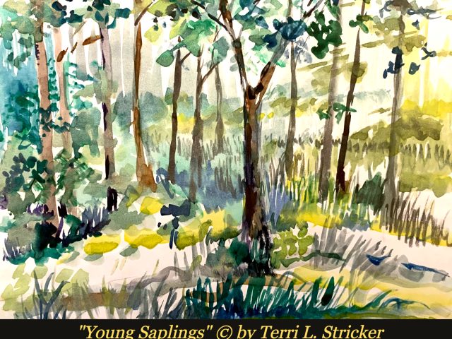 Day 187 – A Place of True Safety