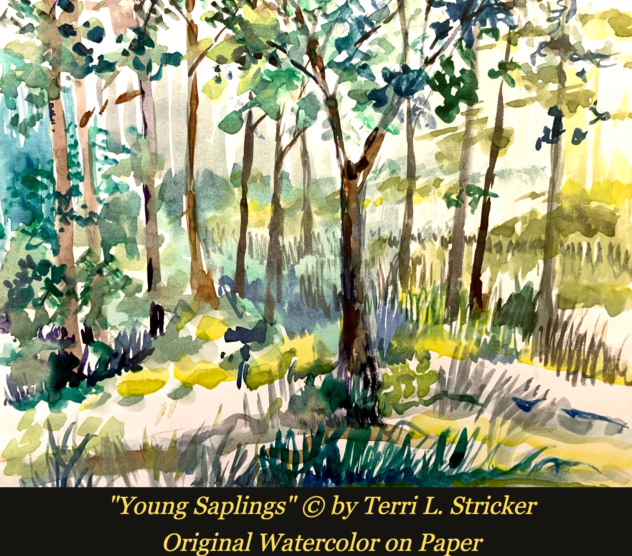 Day 187 – A Place of True Safety