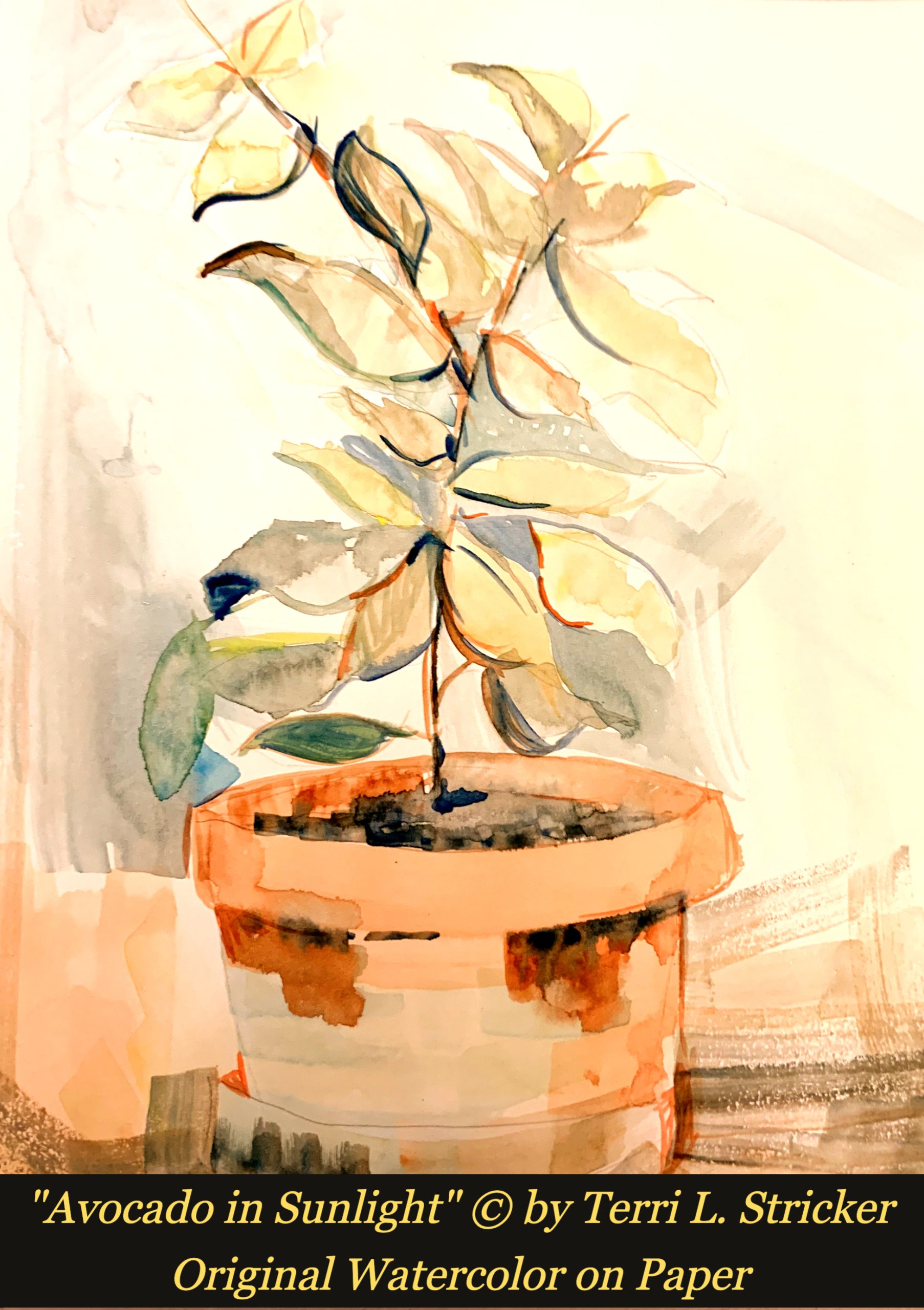 Day 242 – Delight for One; Dread for the Other
