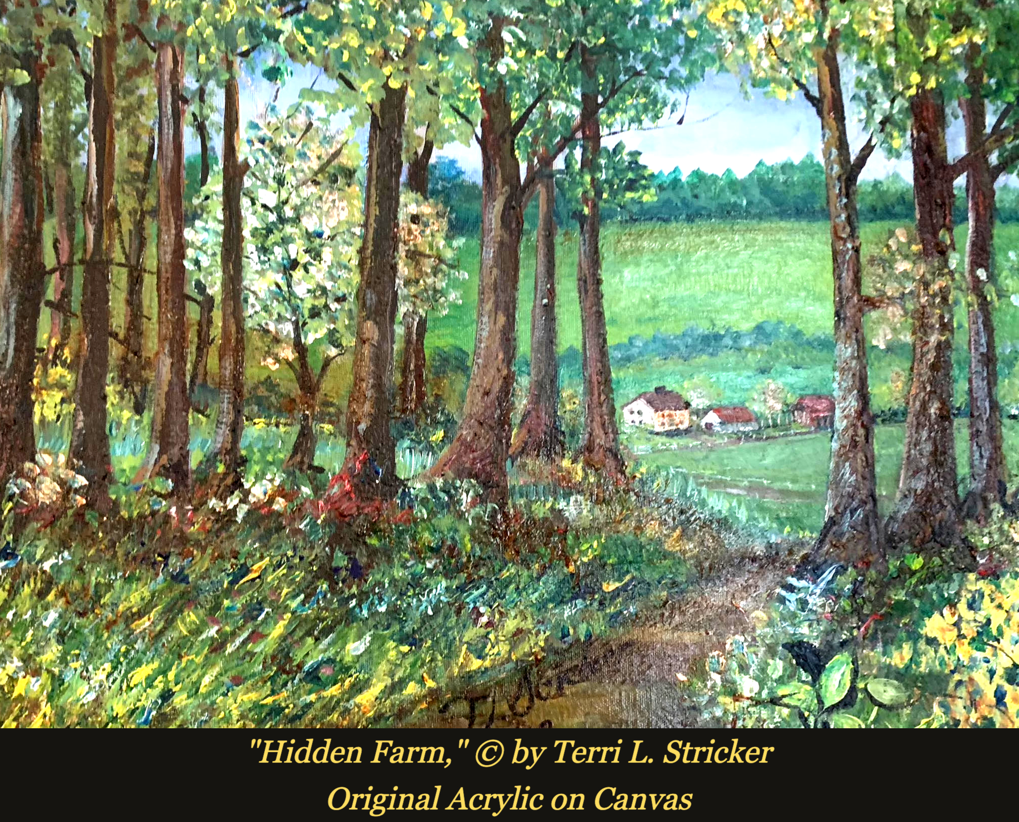 Day 245 – Focus on the Greater Reality
