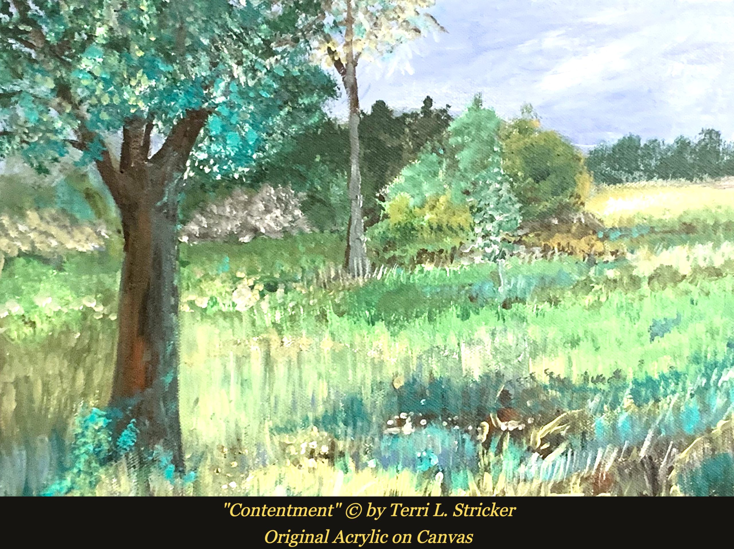 Day 278 – The Better Part of Wisdom