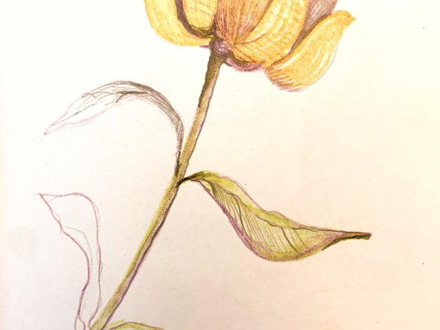 Day 317 – Mercy … Infinite Mercy