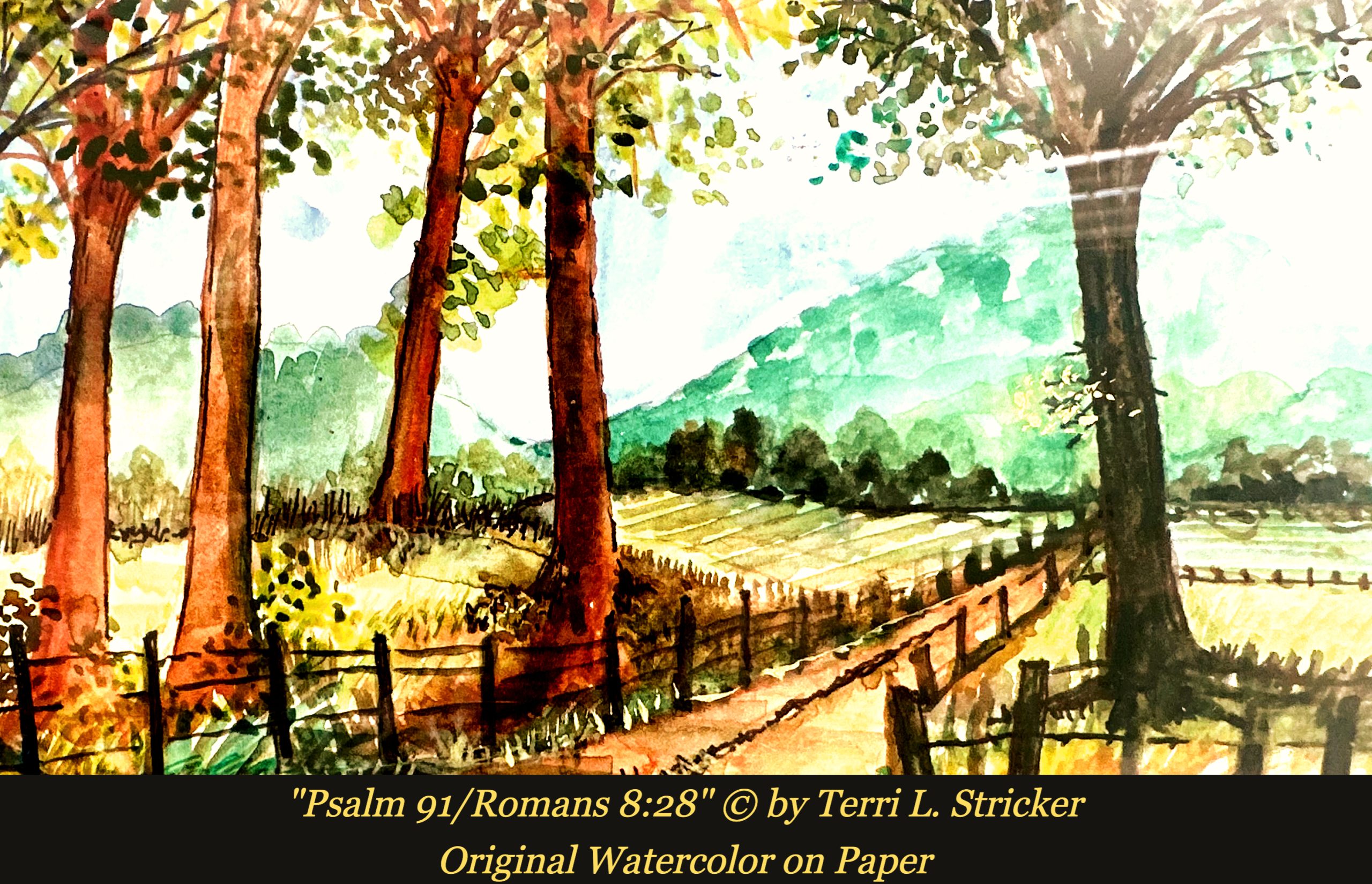 Day 355 – The Truth Comes Out