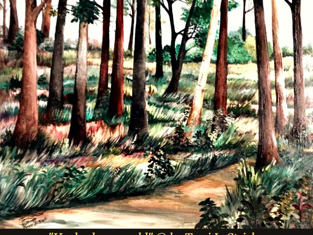 Day 13 – Beginnings and Endings