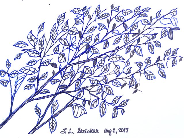 Day 38 – Useless, Empty Vessels