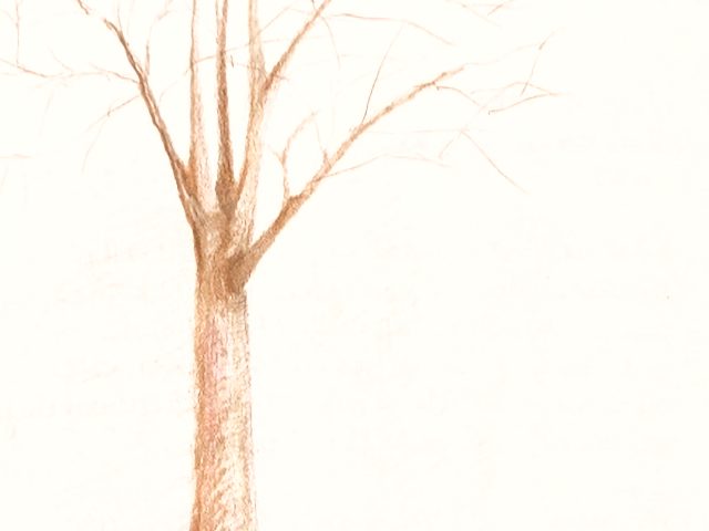 Day 53 – A Lifetime of Misery