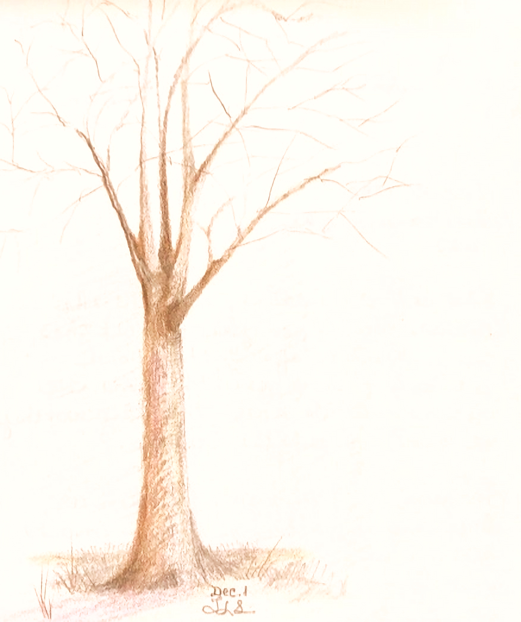 Day 53 – A Lifetime of Misery