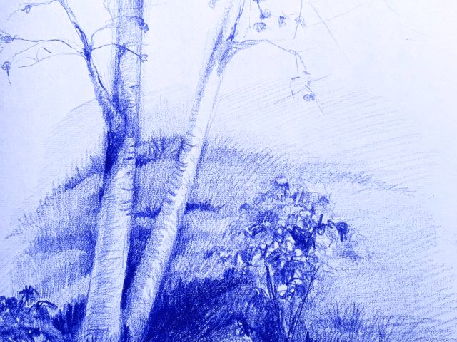 Day 78 – One Event, Expressed Two Ways