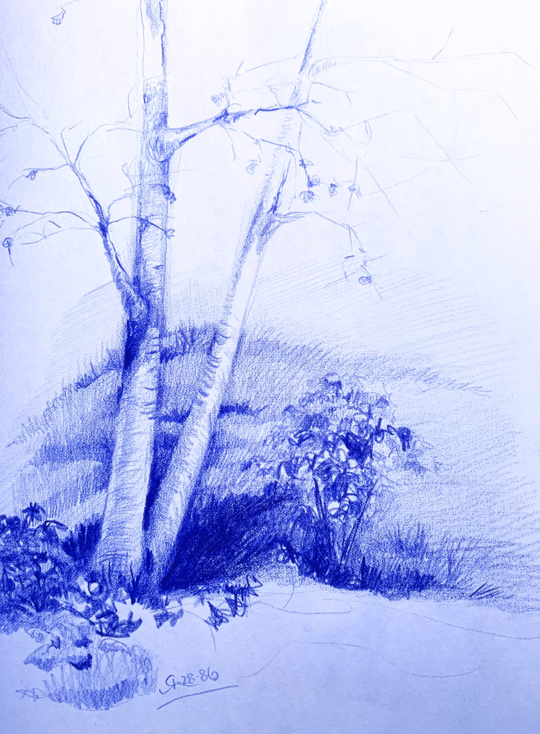 Day 78 – One Event, Expressed Two Ways
