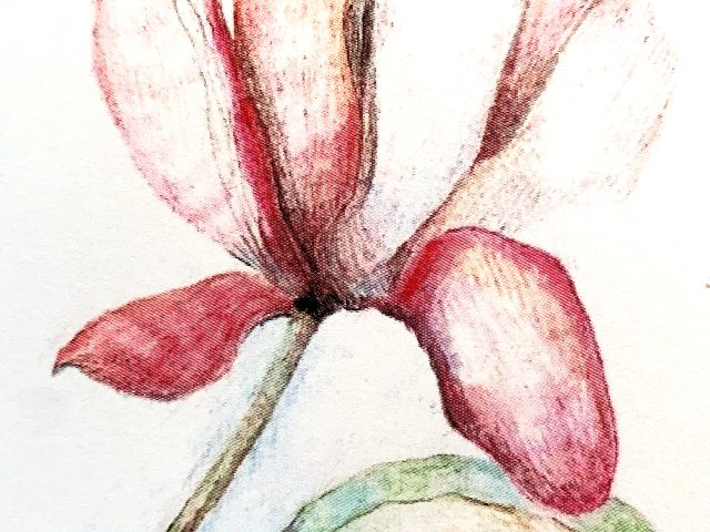 Day 215 – Clinging Too Tightly to This World