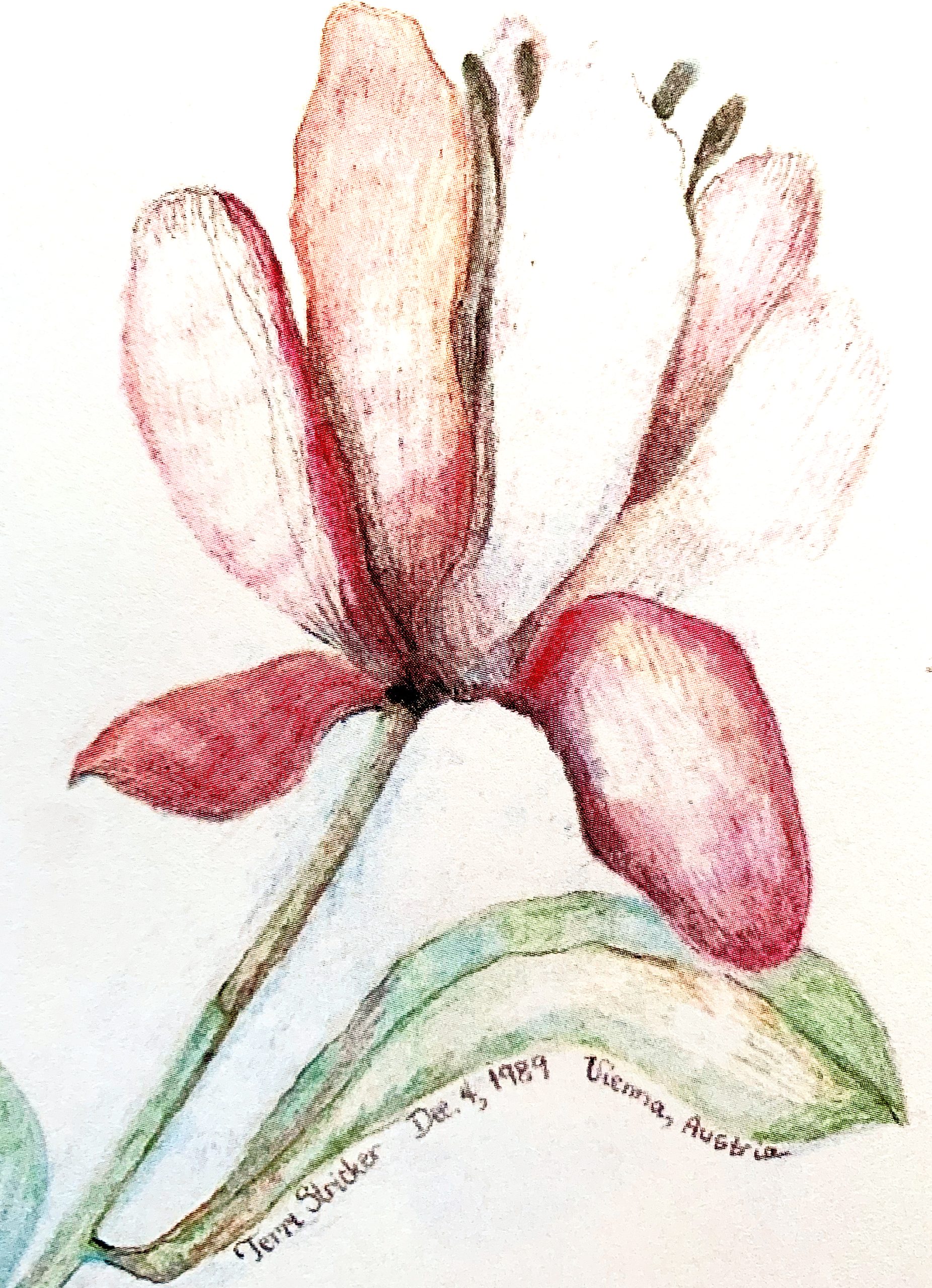 Day 215 – Clinging Too Tightly to This World