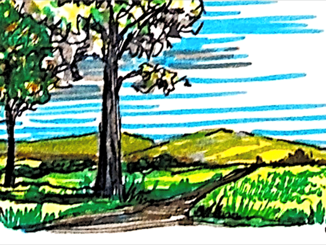 Day 217 – A Man After God’s Own Heart