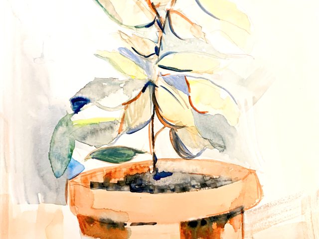 Day 241 – The Righteous One Takes Note