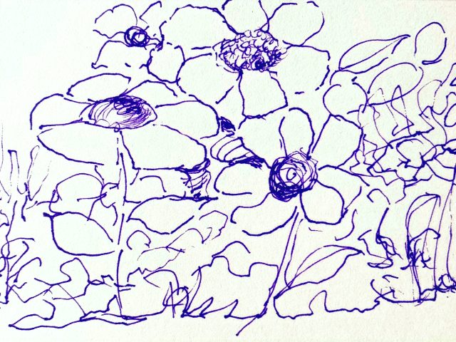 Day 256 – The Wonder of It All!
