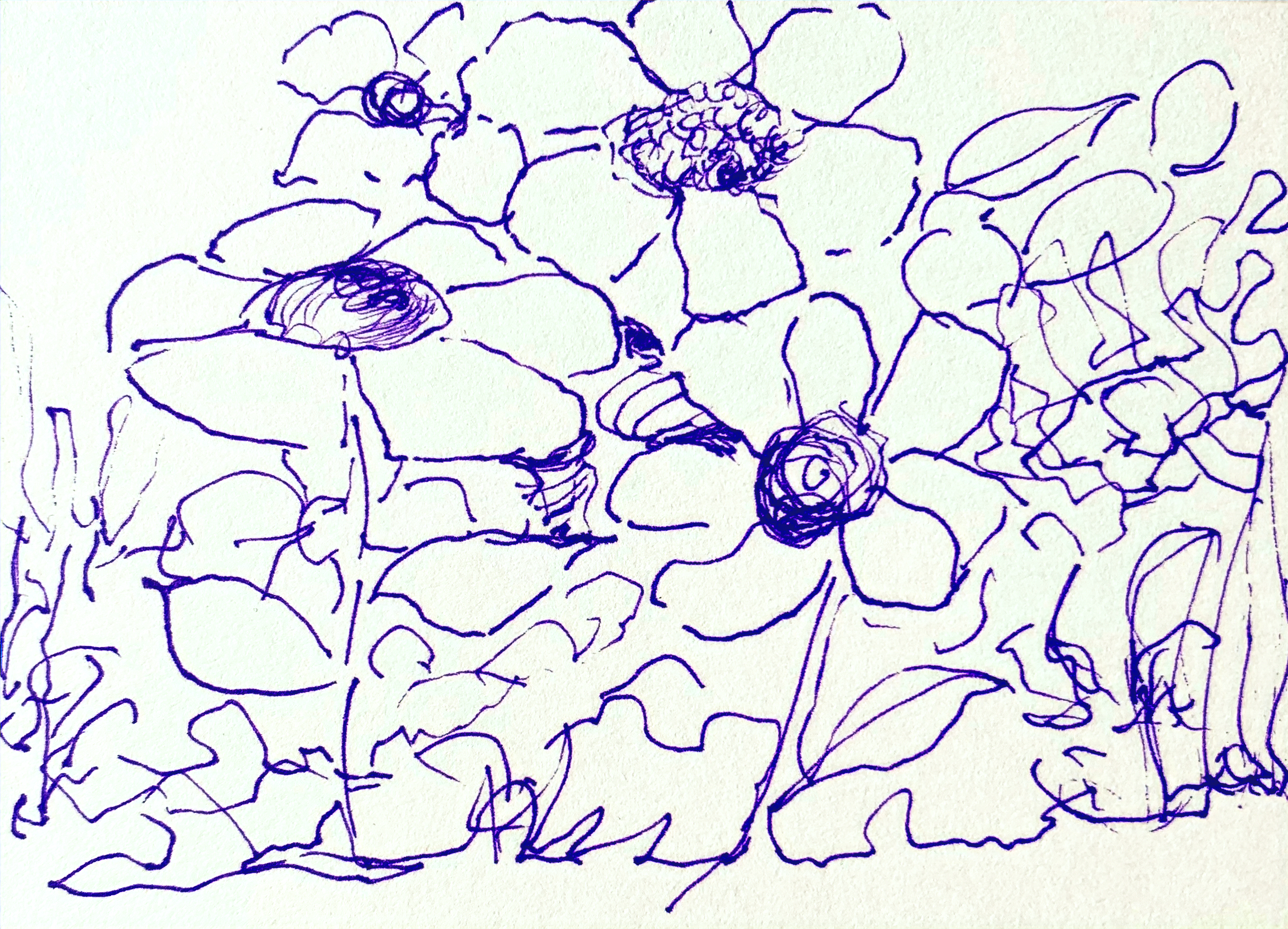 Day 256 – The Wonder of It All!