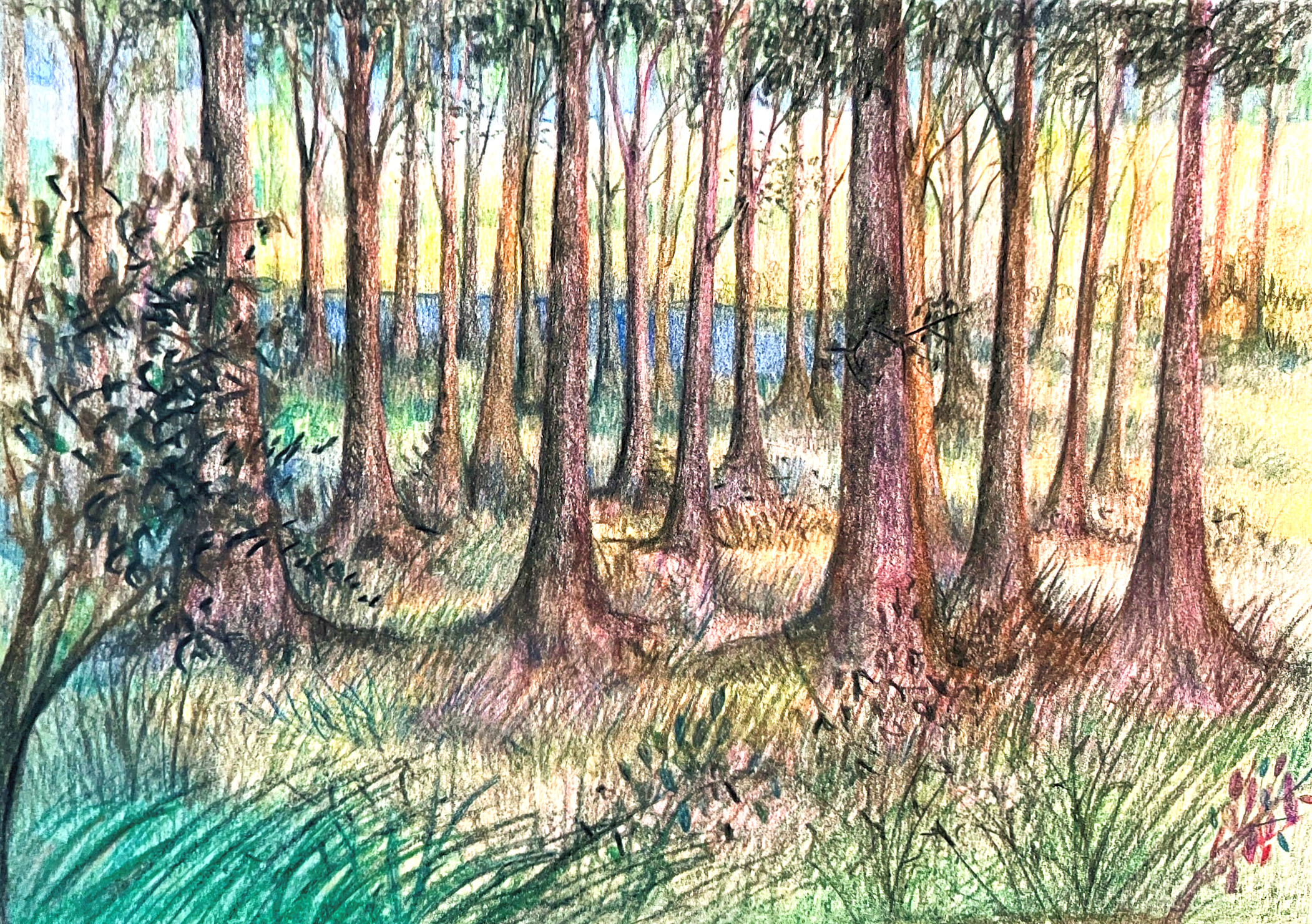 Day 300 – Precipitated by National Failure