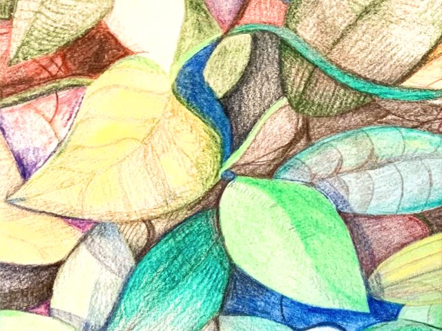 Day 291 – The Equation of Life