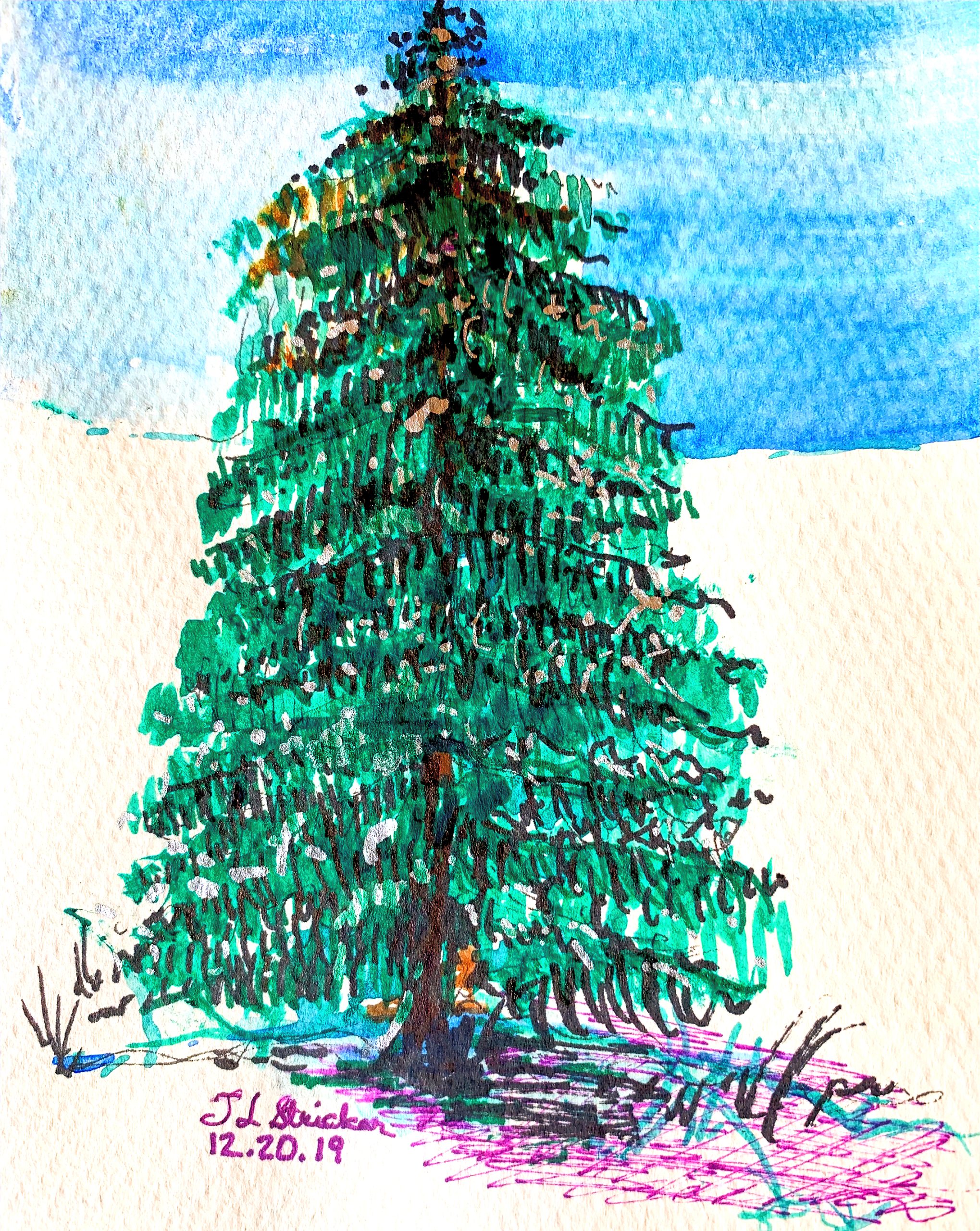 Day 338 – We Are All Capable