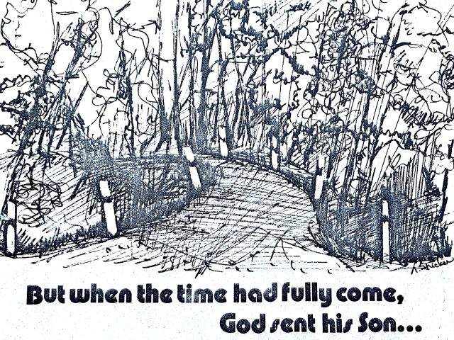 Day 354 – Truth Emerges