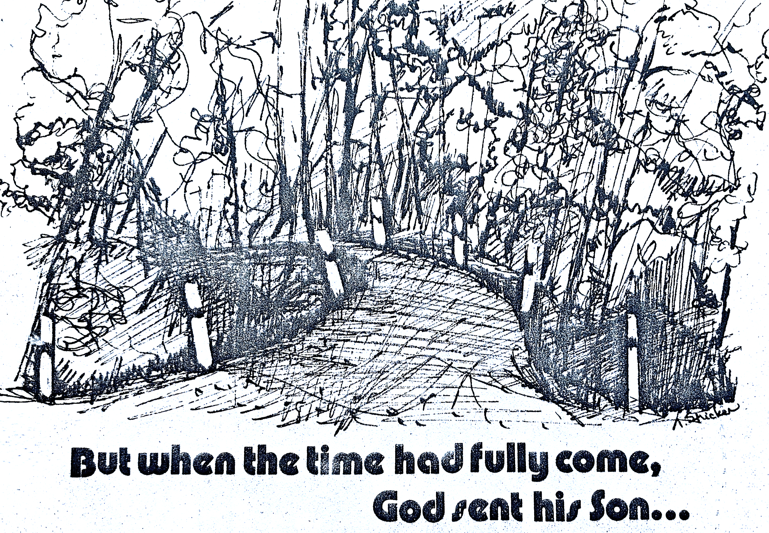 Day 354 – Truth Emerges