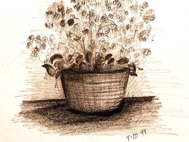 Day 364 – God Blesses Creativity