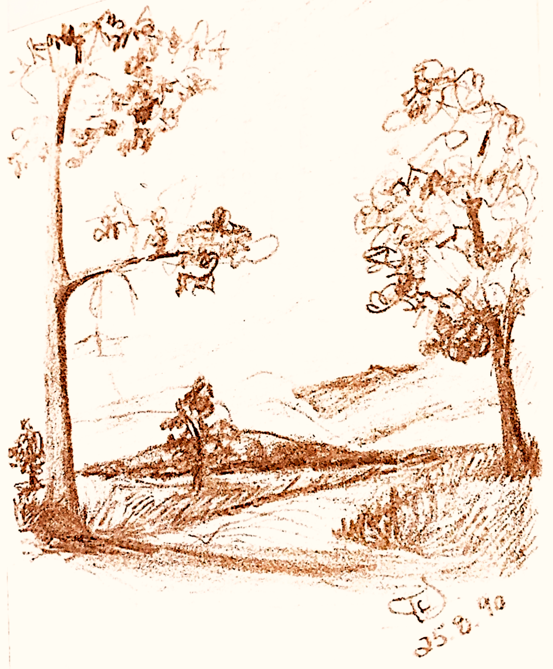 Day 345 – Unknown to Us, But Not to God