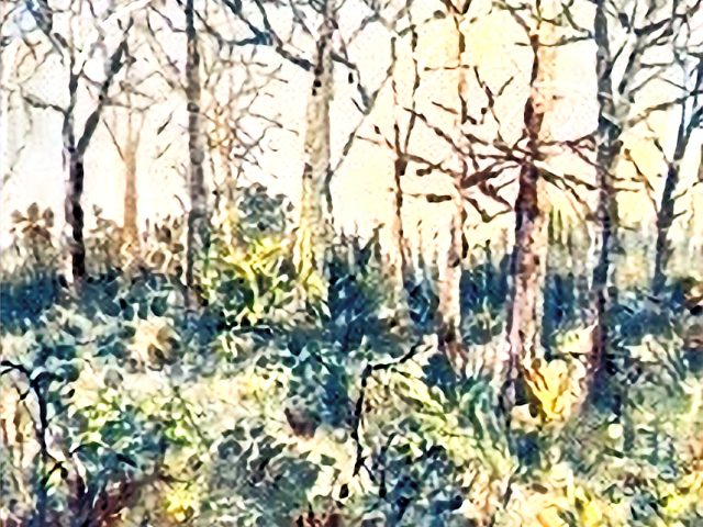 Day 5 – What Life Will Be Like in His Kingdom