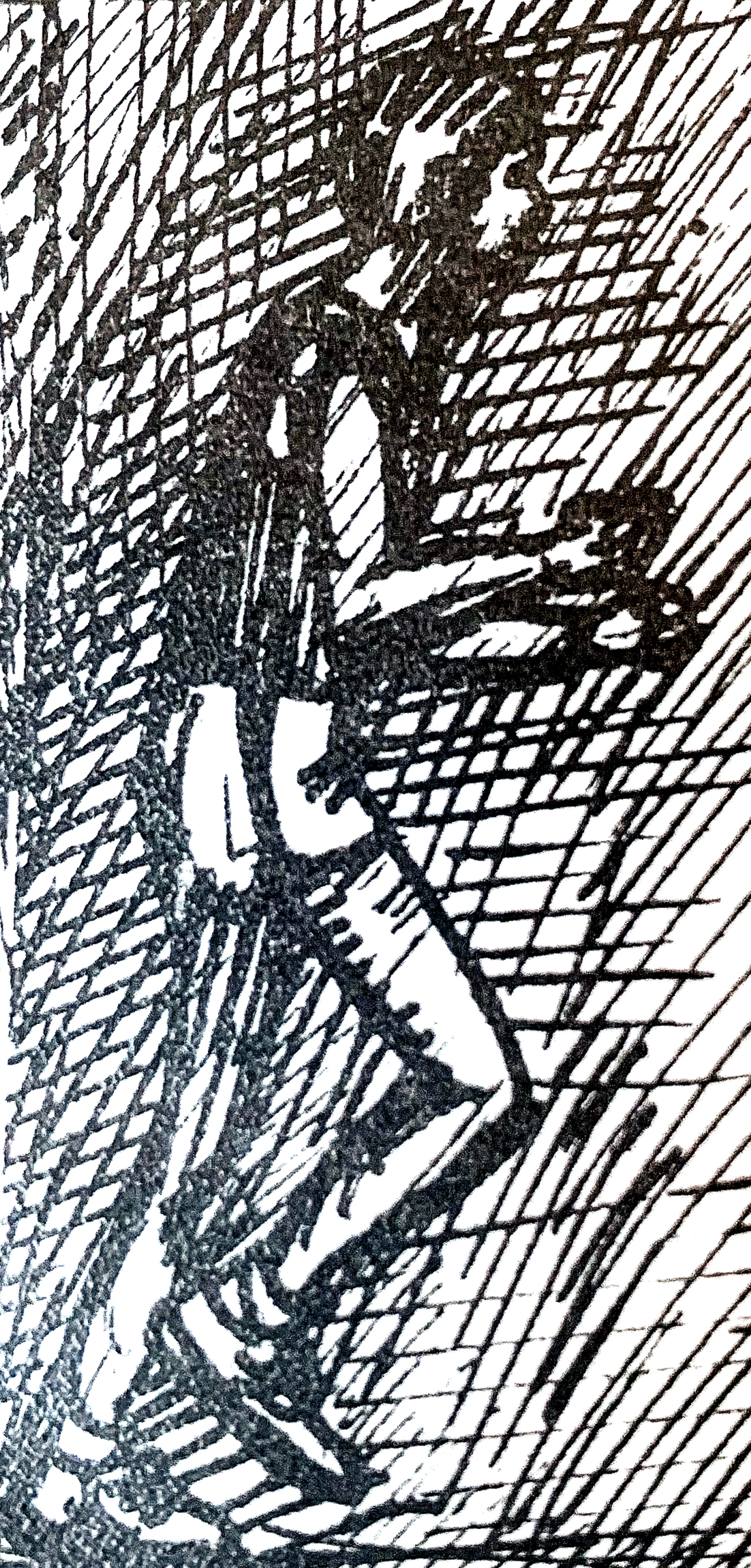 Day 66 – We Are the Wayward Ones