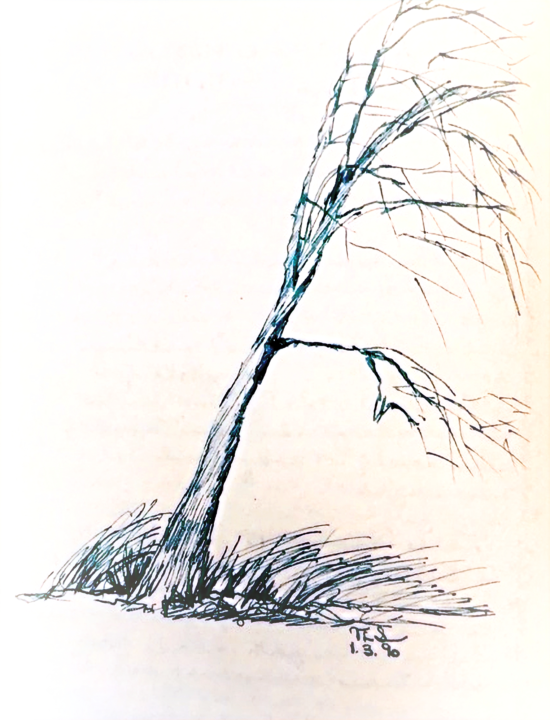 Day 105 – The Danger We Are to Ourselves