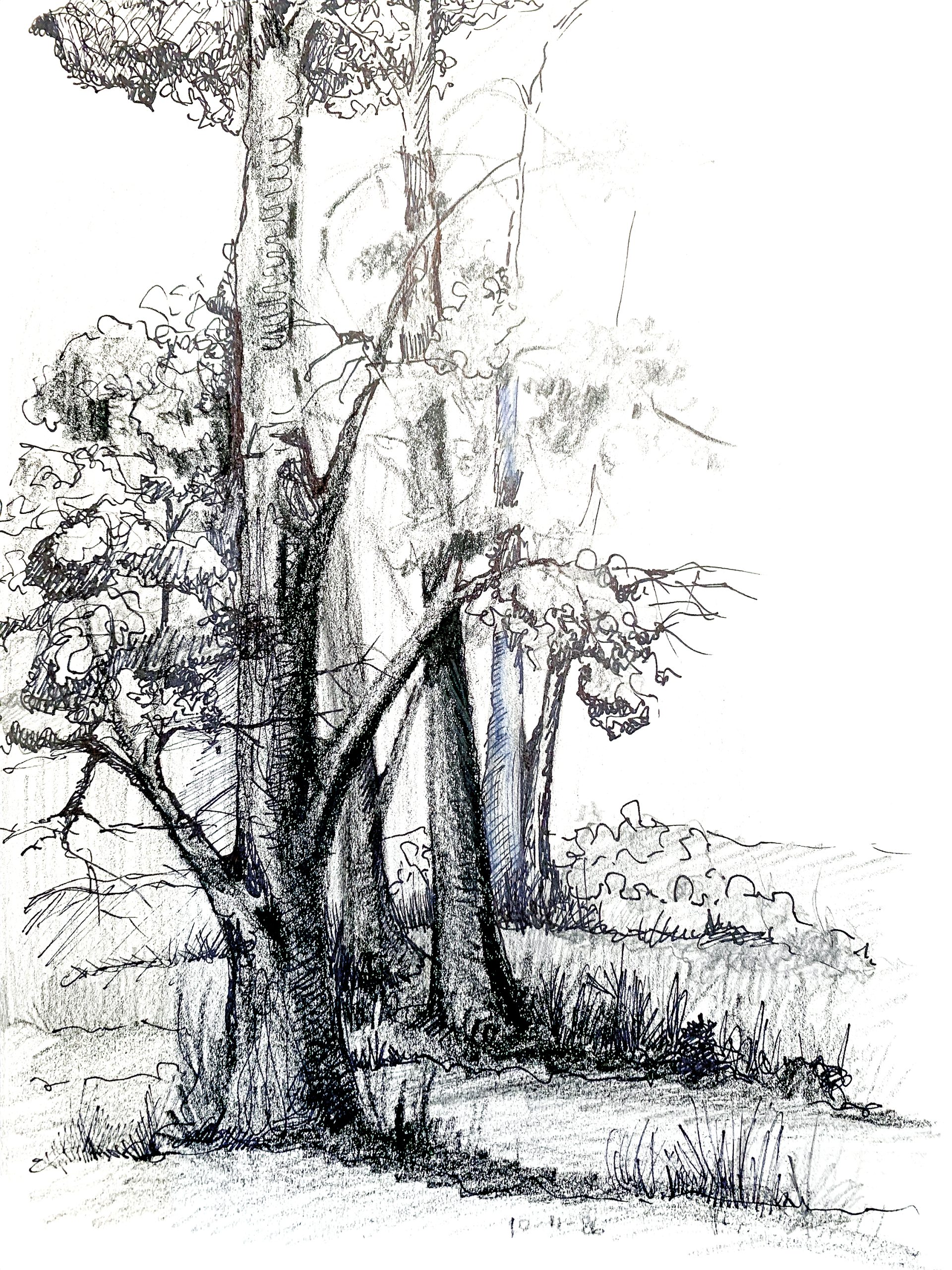 Day 131 – If the Lord Wills