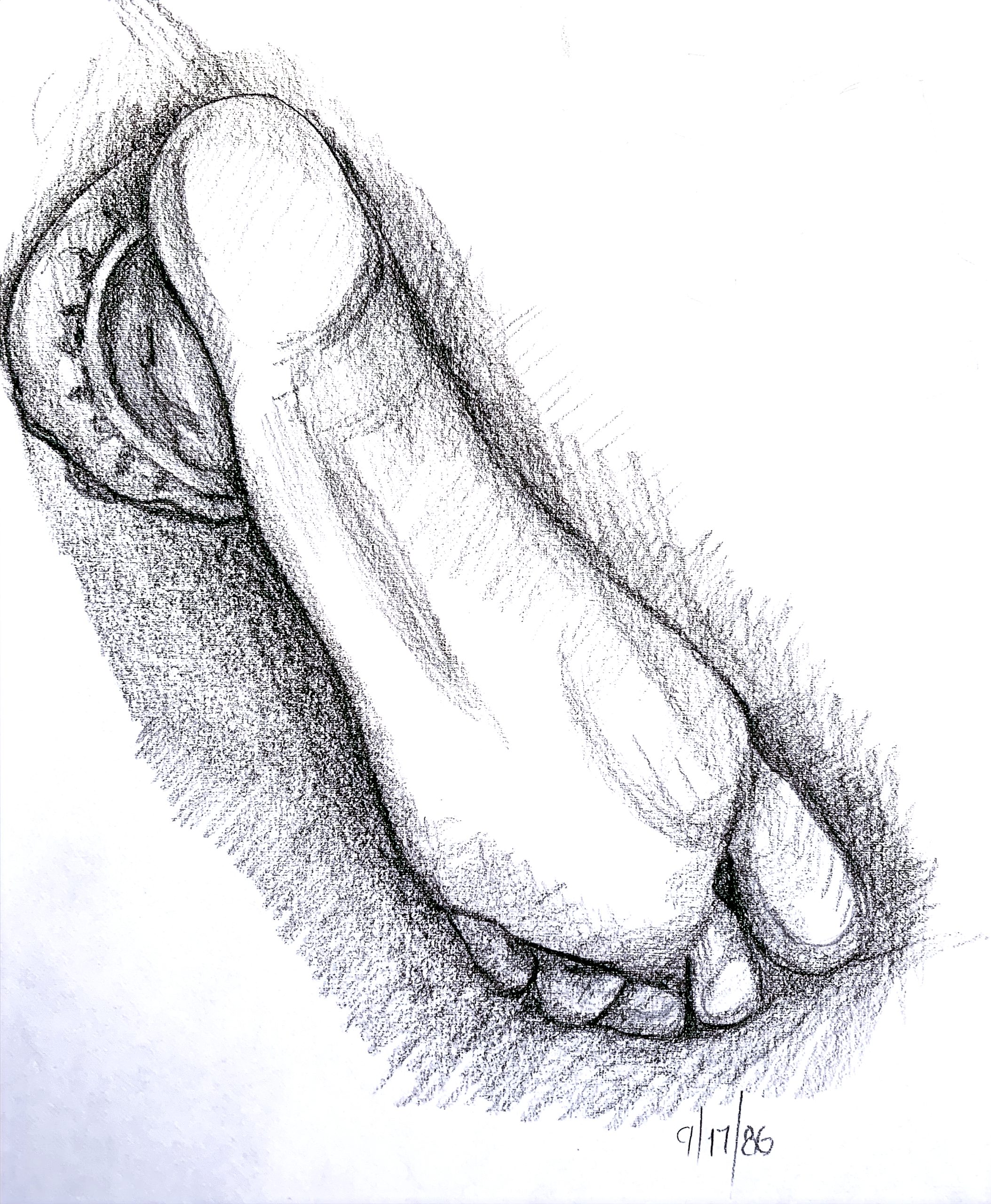 Day 207 – The Rebellious Will Stumble