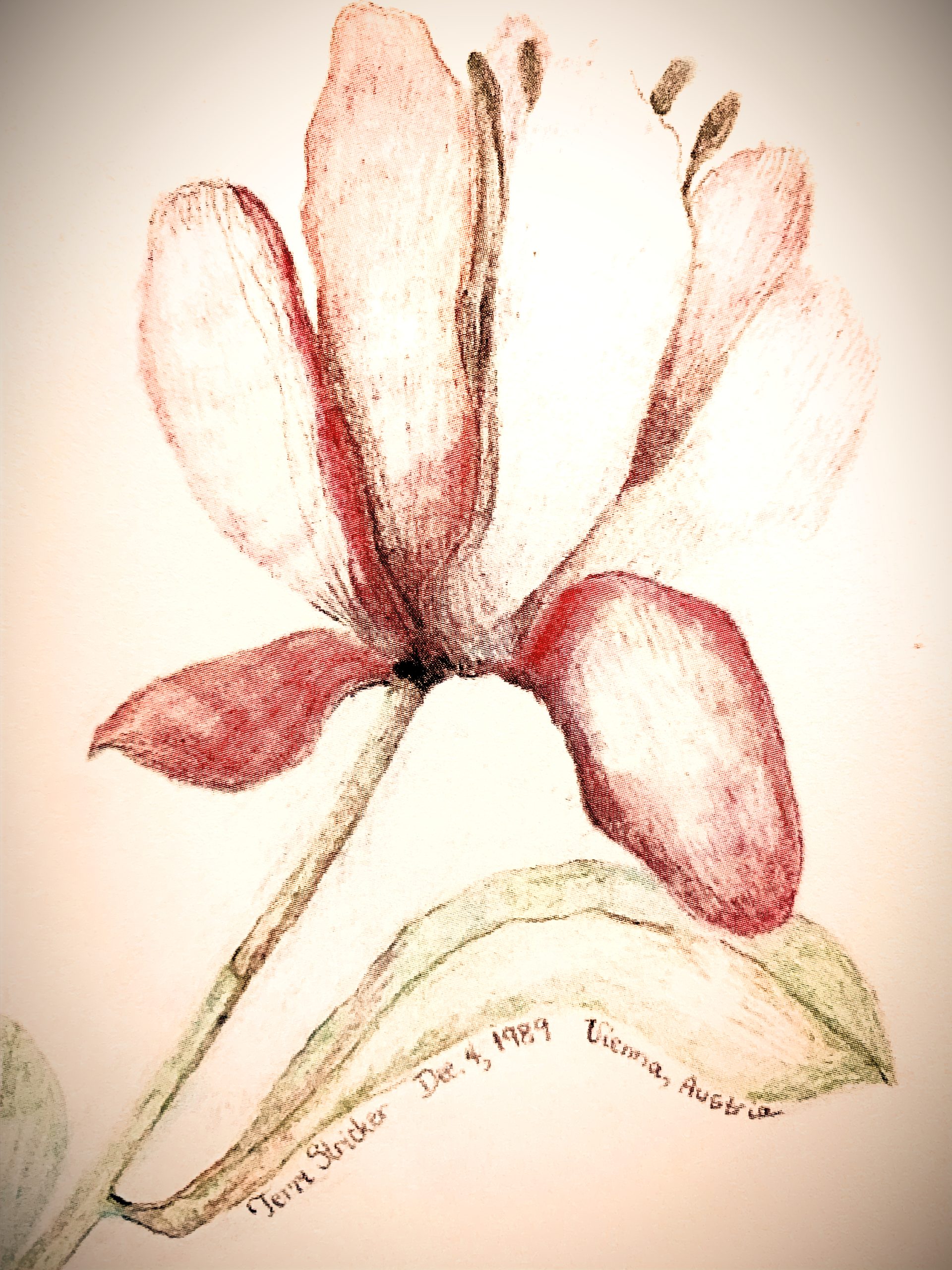 Day 215 – Living Here On Borrowed Time